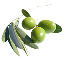 grekisk_restaurang_i_malmo